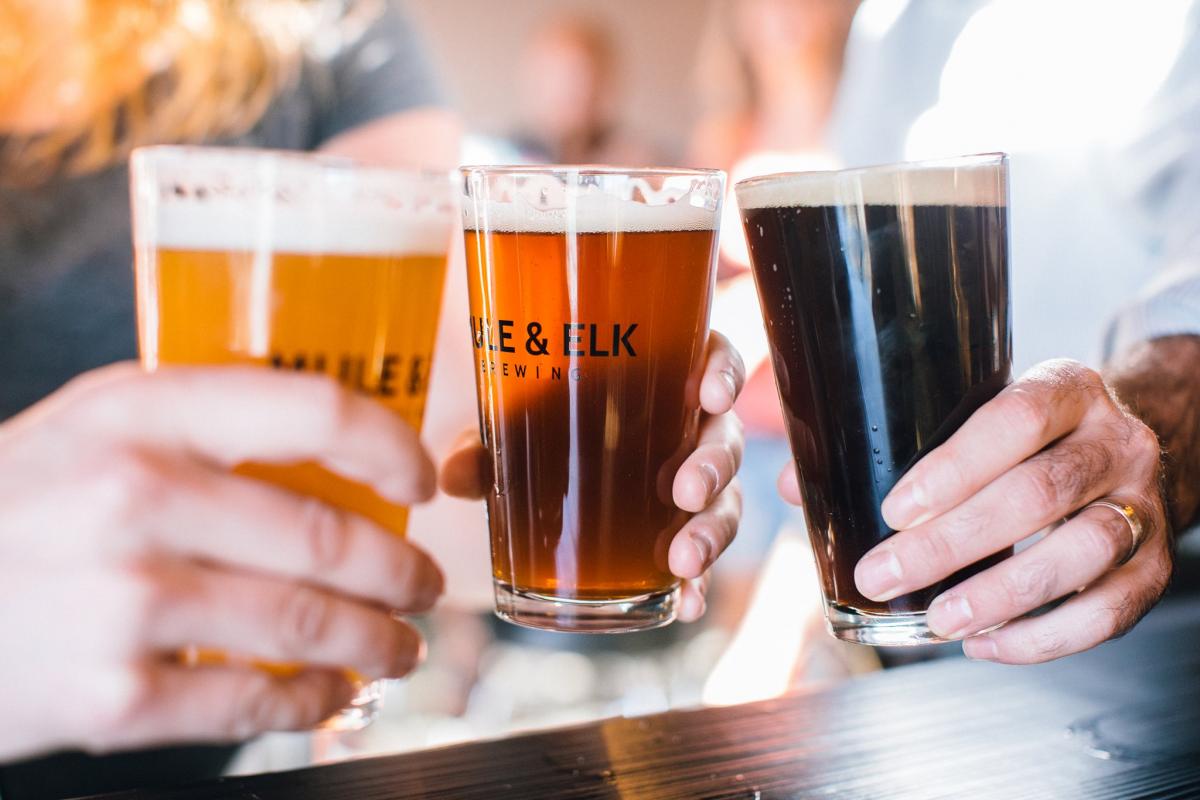 Mule & Elk Brewing Co Mule & Elk Brewing Co
